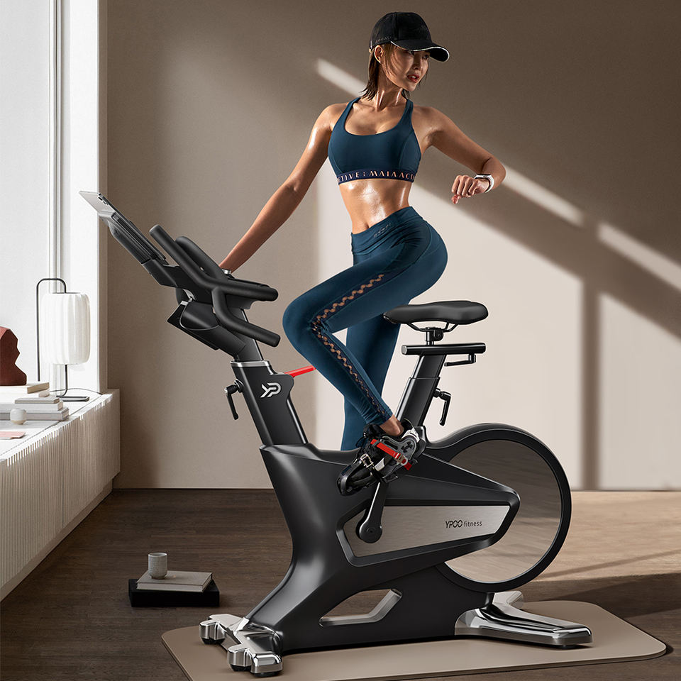 Keep Smart Home Aerobic Spin Exercise Bike with Magnetic Resistance